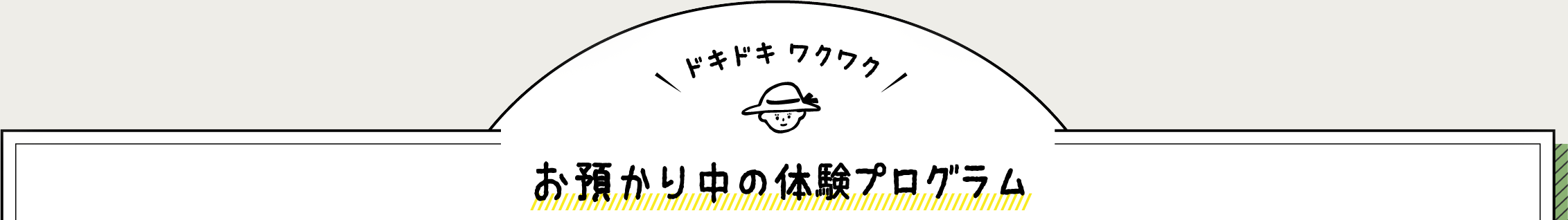 お預かり中の体験プログラム